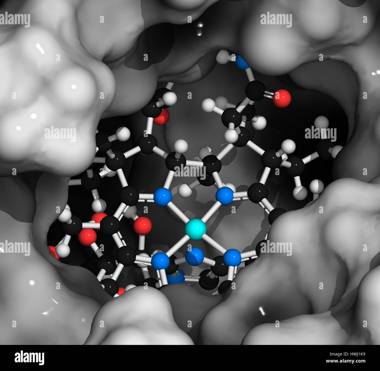 Intrinsic-Faktor (IF) Protein. Glykoprotein produziert in den Magen, notwendig für die Aufnahme von Vitamin B12 (Cobalamin). 3D Illustration. Protein: Su Stockfoto