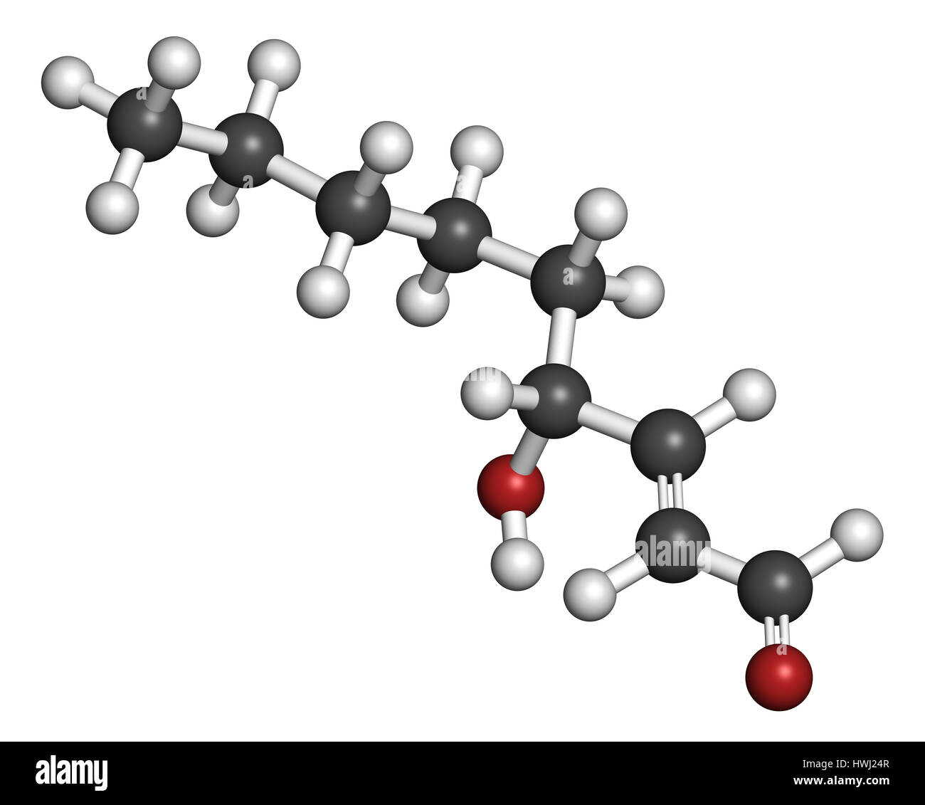 4-Hydroxynonenal (HNE) Molekül. Metabolit von Lipidperoxidation von mehrfach ungesättigten Omega-6 Fettsäuren produziert. 3D-Rendering. Atome sind vertreten Stockfoto