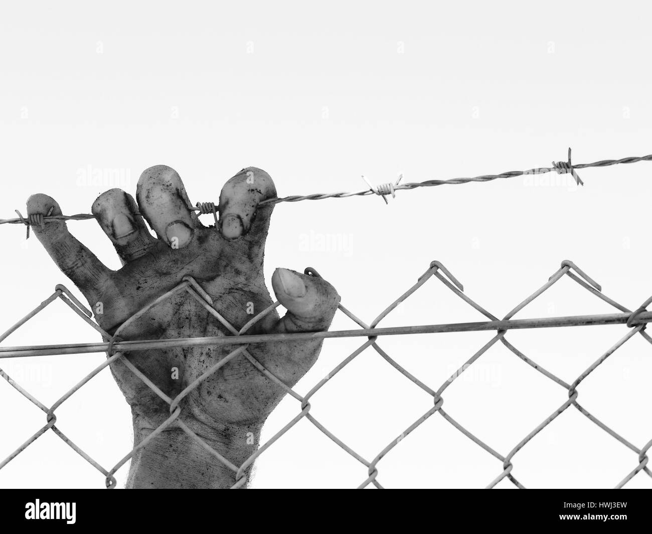 Verschmutzte und verfärbte Hand klammerte sich an einem Drahtzaun Stahl Widerhaken, schwarz / weiß Stockfoto