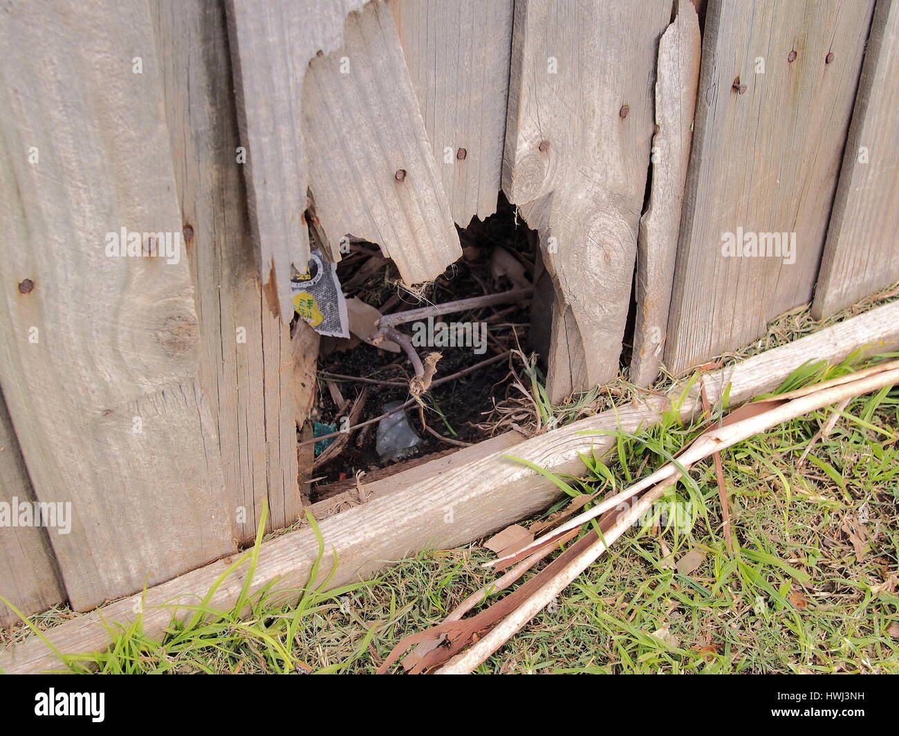 Loch in einem verwitterten Holz Panel Zaun, Australien 2016 Stockfoto