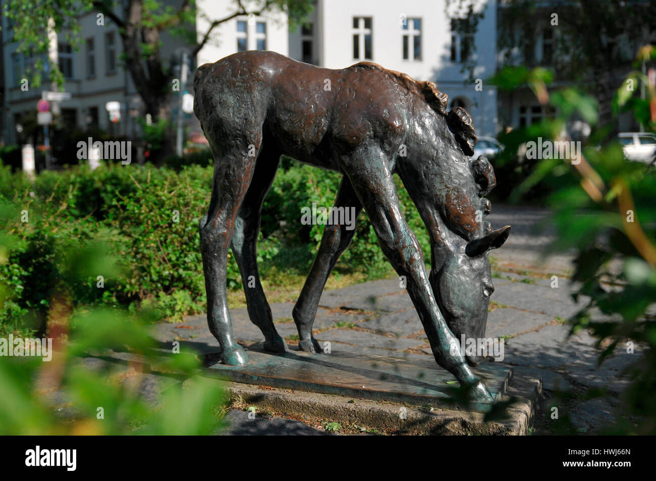 Grasendes Fohlen, Renée-Sintenis-Platz, Friedenau, Berlin, Deutschland Stockfoto