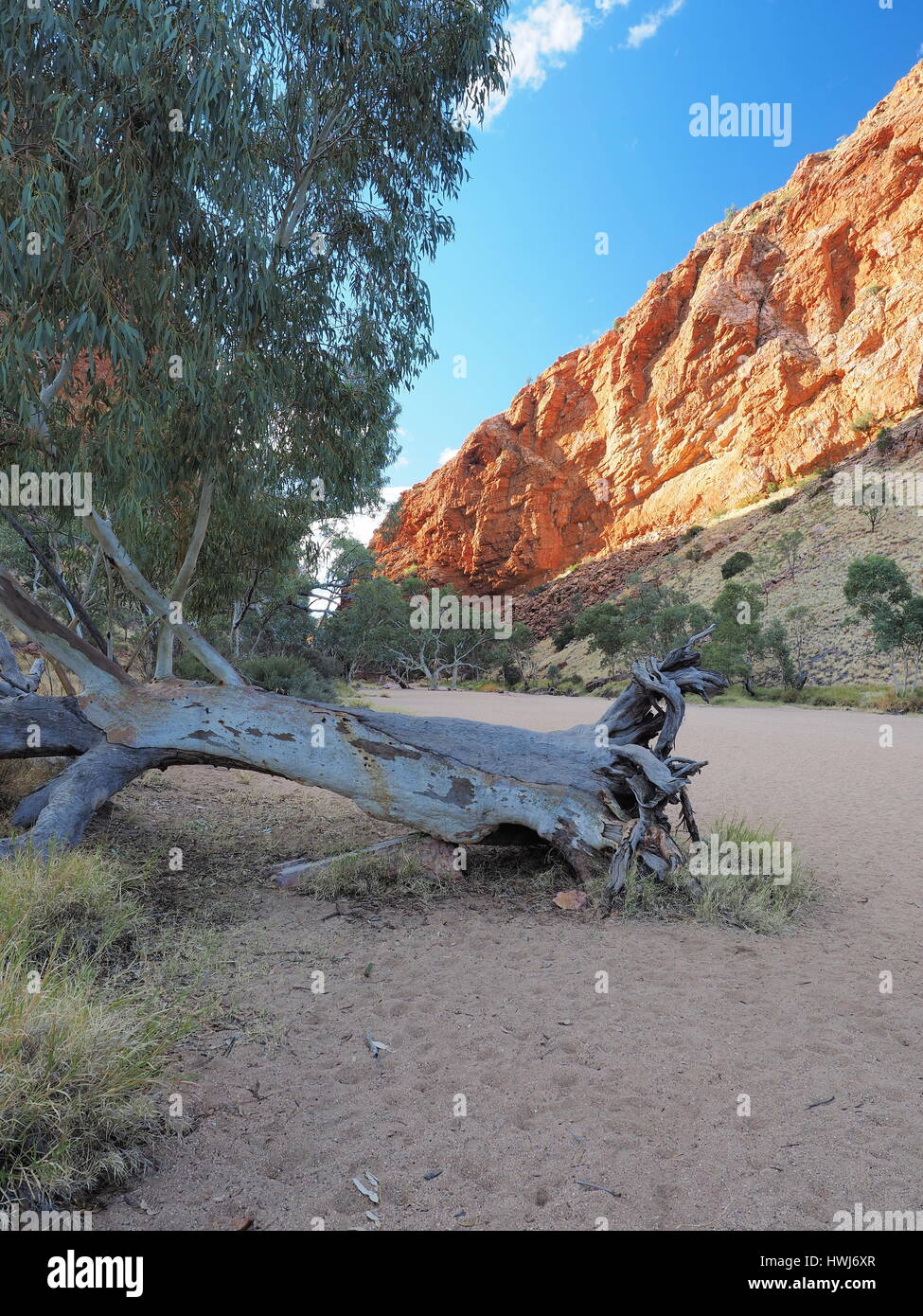 Am späten Nachmittag Outback im trockenen Simpsons Gap in den McDonnell Ranges in der Nähe von Alice Springs, Australien, Juni 2015 Stockfoto