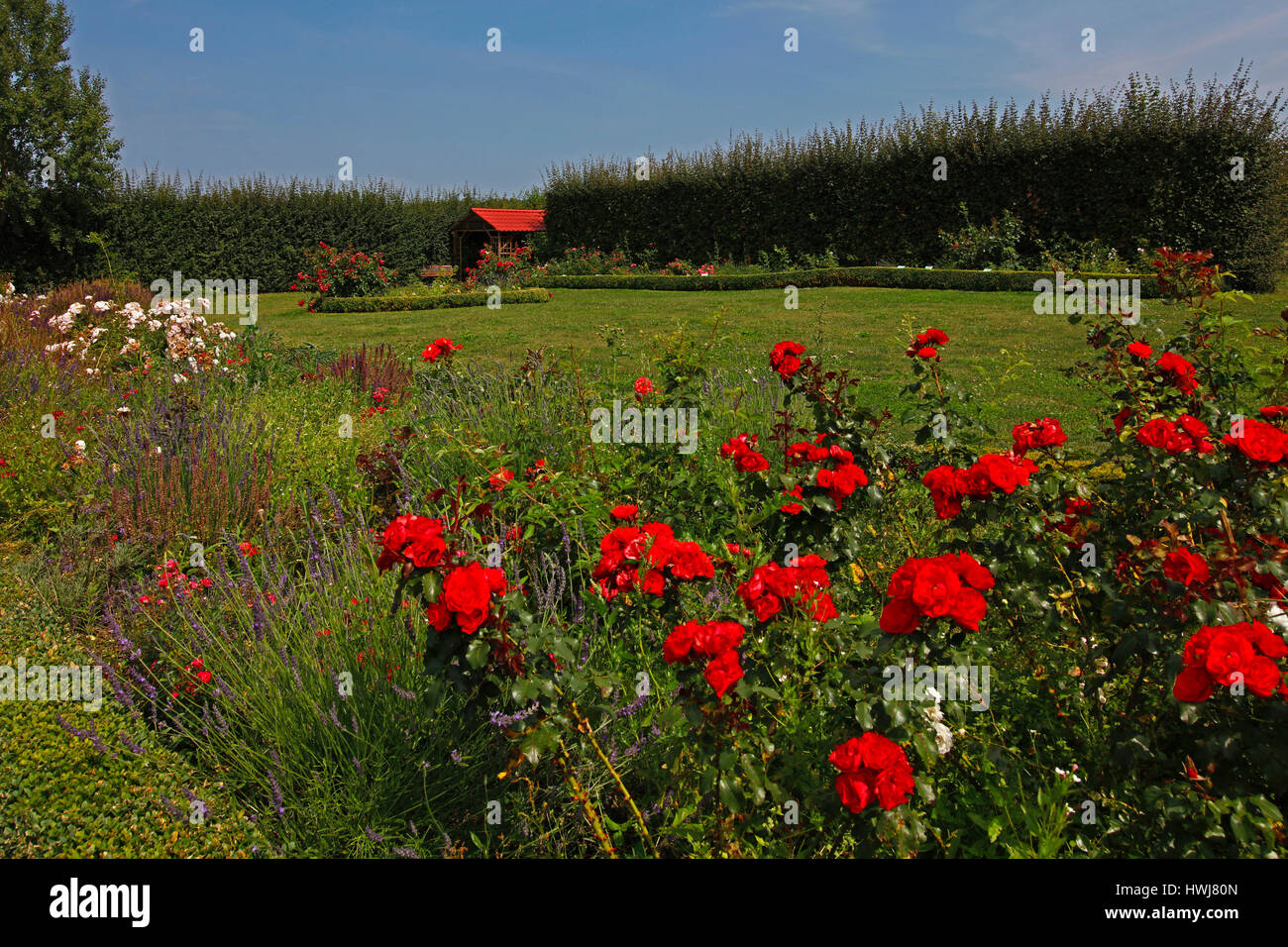 Usedom mellenthin Fotos und Bildmaterial in hoher Auflösung Alamy