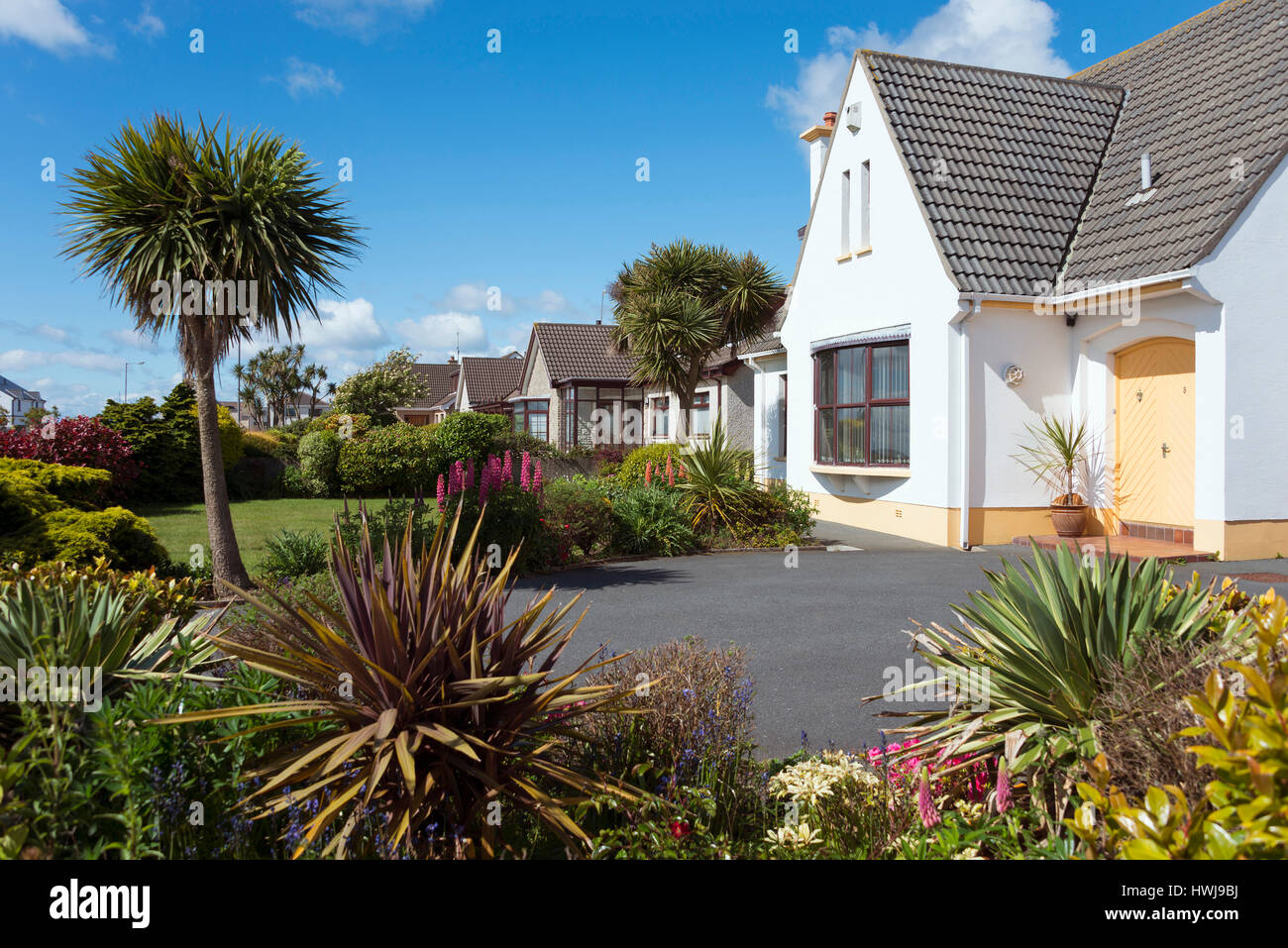 Häuser und Garten, Kilkeel, County Down, Nordirland, Vereinigtes Königreich Stockfoto