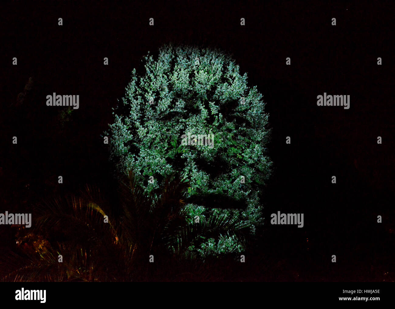 Sprechender Baum, Kaiser Karl IV., Karlsbad, stilsicheren Stockfoto