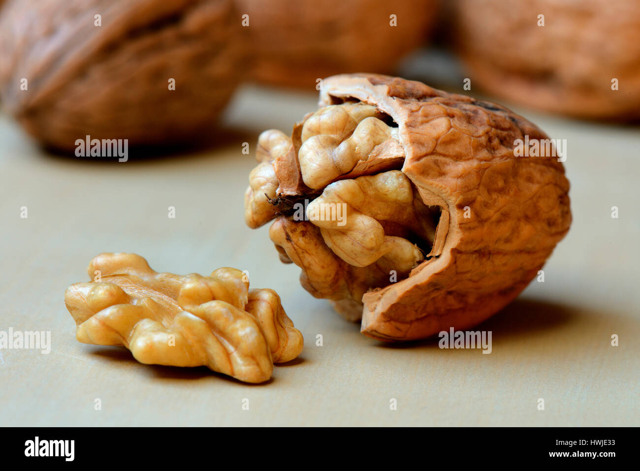 Geoeffnete Walnuss, Juglans regia Stockfoto