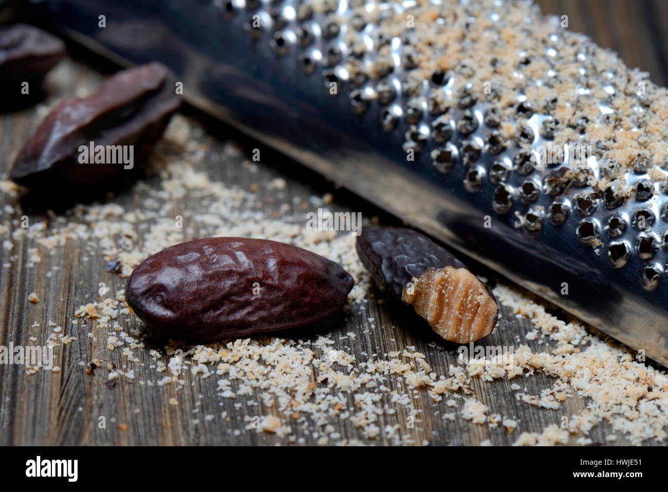 Tonkabohnen Mit Muskatreibe, Gerieben, Dipteryx odorata Stockfotografie ... Tonkabohnen Mit Muskatreibe, Gerieben, Dipteryx odorata Stockfotografie ...