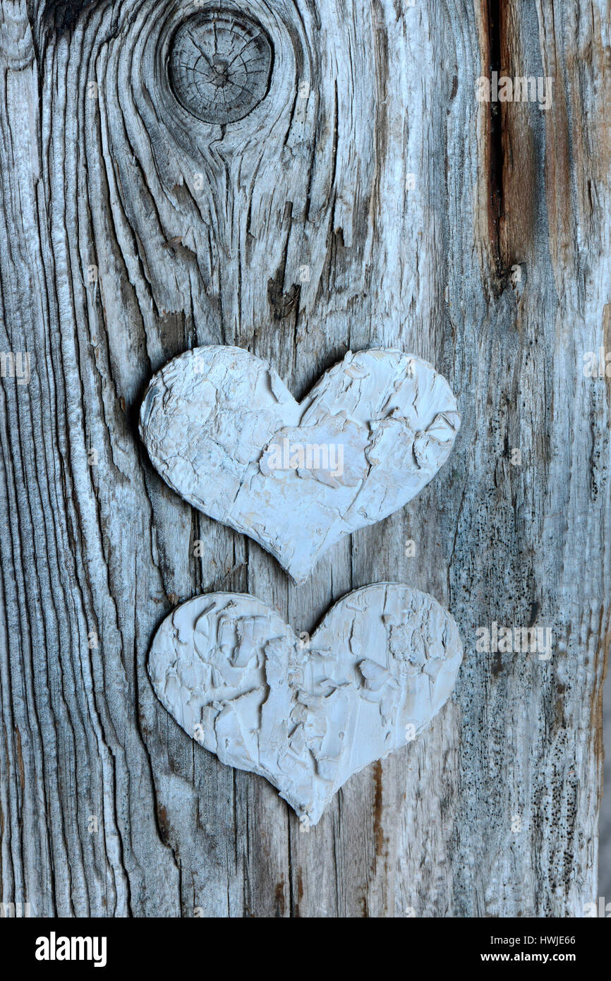 Herz aus Birkenrinde Stockfoto