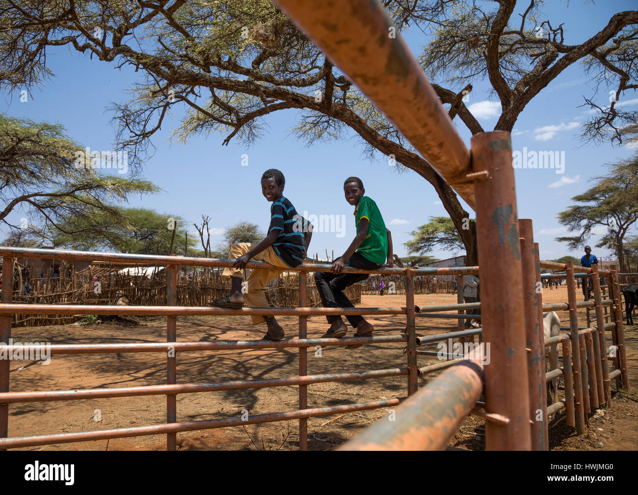 Borana Jungs sitzen auf Zäune in einem Vieh Maket Oromia, Yabelo, Äthiopien Stockfoto