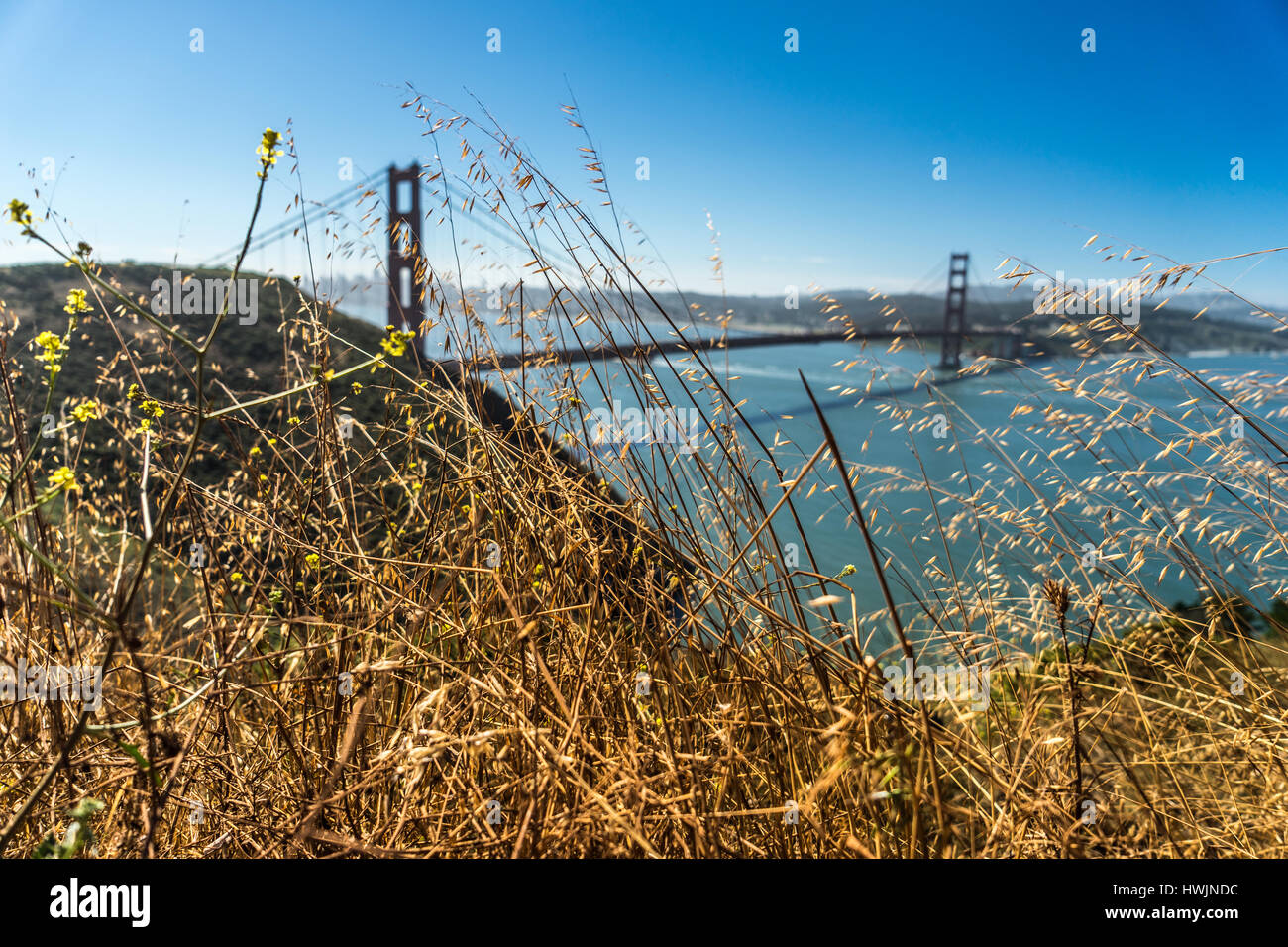Blick auf die Golden Gate Bridge, San Francisco Stockfoto