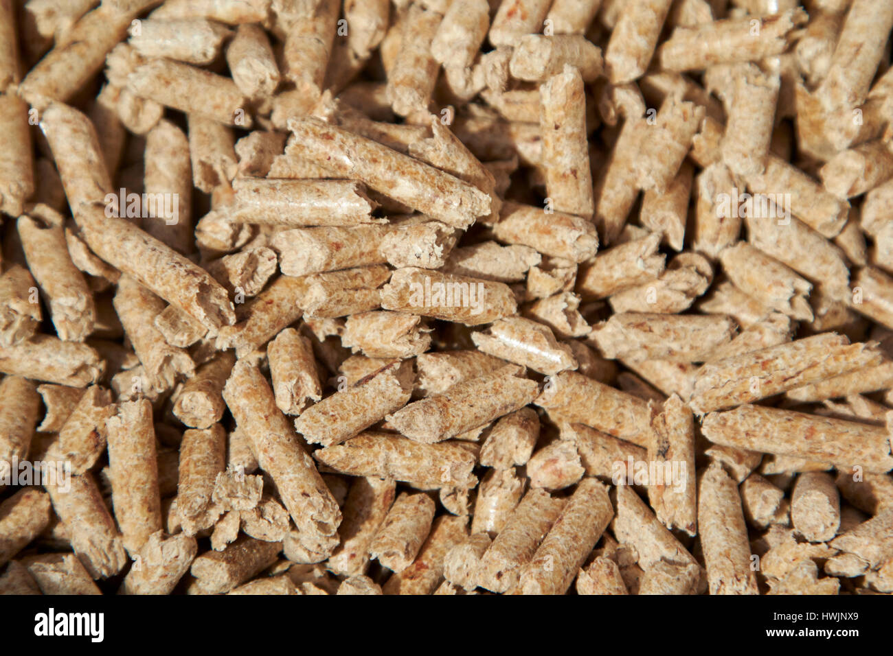 Holzpellets für den Einsatz in Holz Kessel Stockfoto