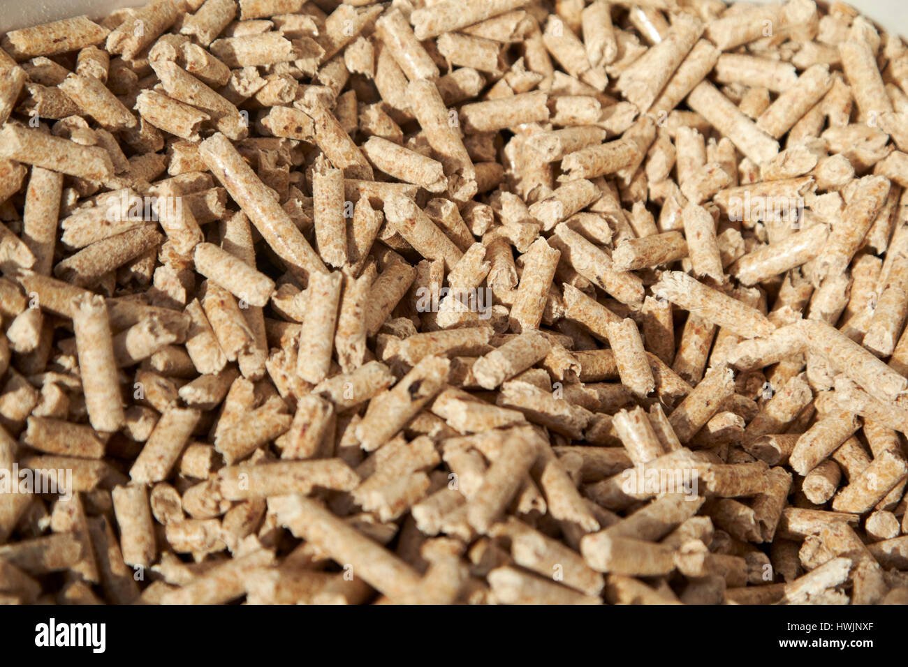 Holzpellets für den Einsatz in Holz Kessel Stockfoto