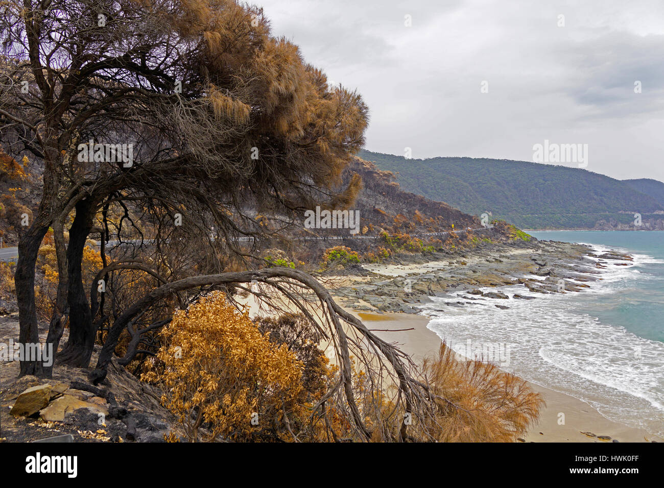 Den letzten Feuerschaden Küste auf der Great Ocean Road, Victoria, Australien. Stockfoto