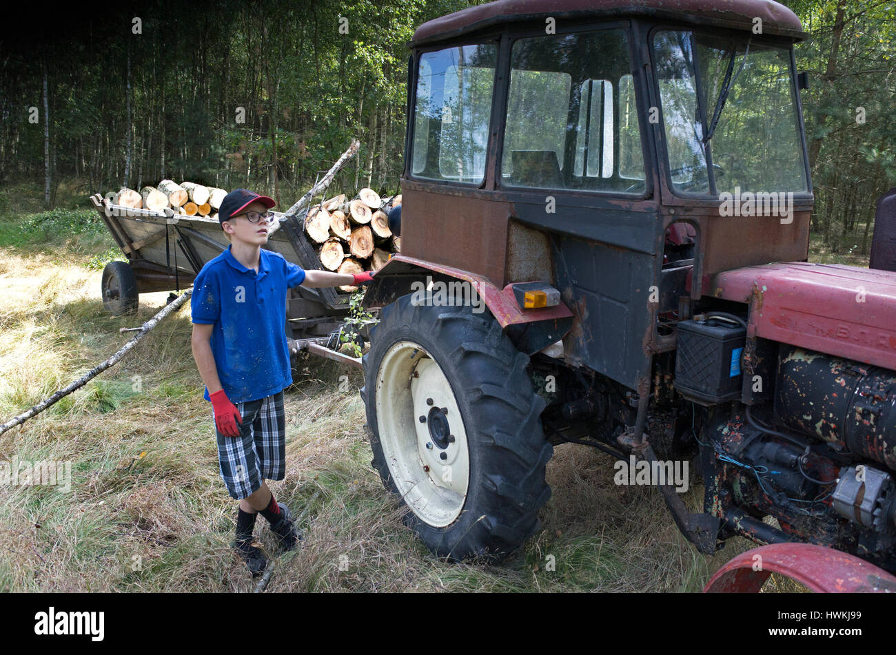 Junge stehend neben Traktor ziehen Wagen voll Holz das half er mit 12 Jahren zu laden. Zawady Zentralpolen Europa Stockfoto