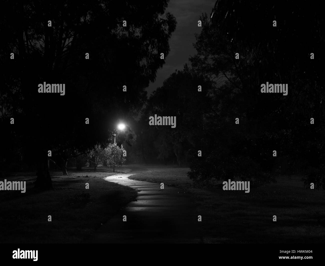 Gruselig dunkler Radweg, beleuchtet von Straßenbeleuchtung in Glen Waverley, Australien Stockfoto