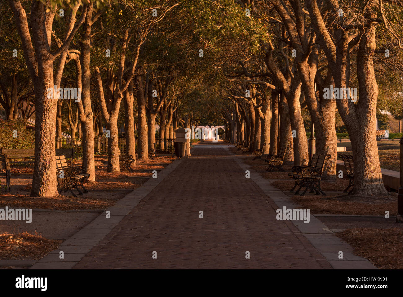 Von Bäumen gesäumten Spazierweg führt zu Brunnen bei Sonnenaufgang - Waterfront Park, Charleston, SC, USA Stockfoto