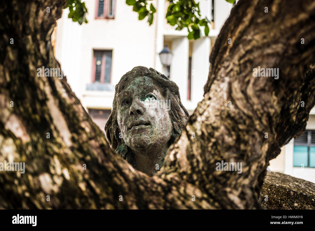 San Juan Puerto Rico Statue den Kopf in Altstadt Blick durch Äste Stockfoto