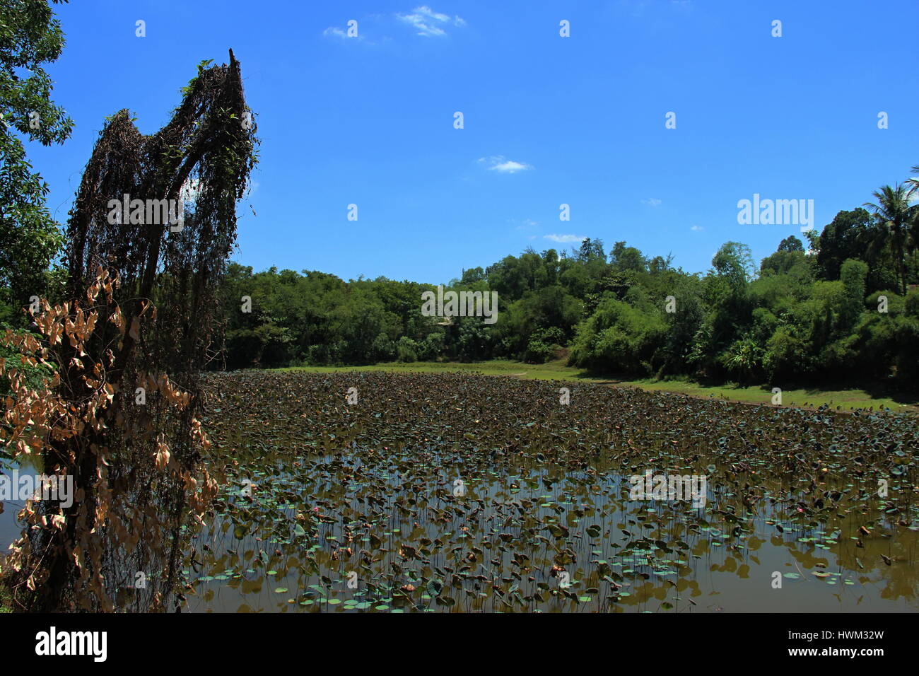 Hue, mittleren Vietnam Stockfoto
