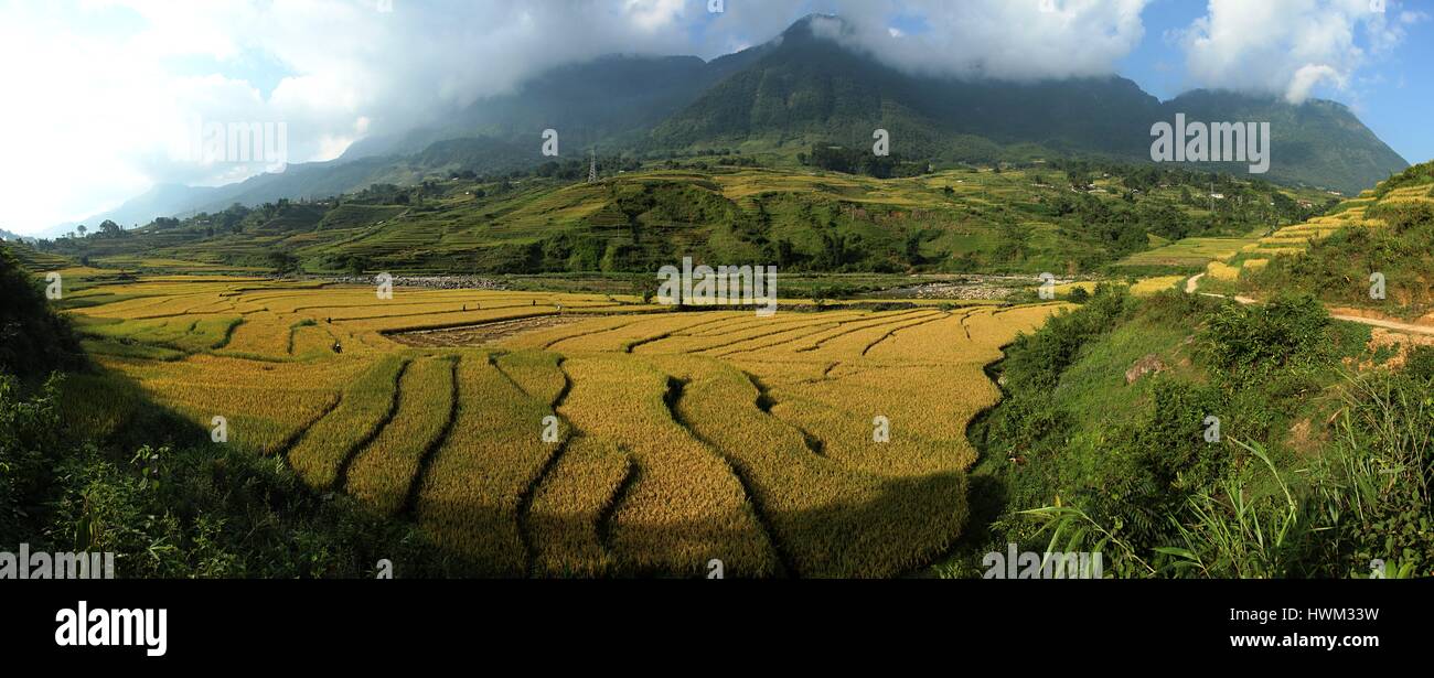 Sapa, Vietnam Stockfoto