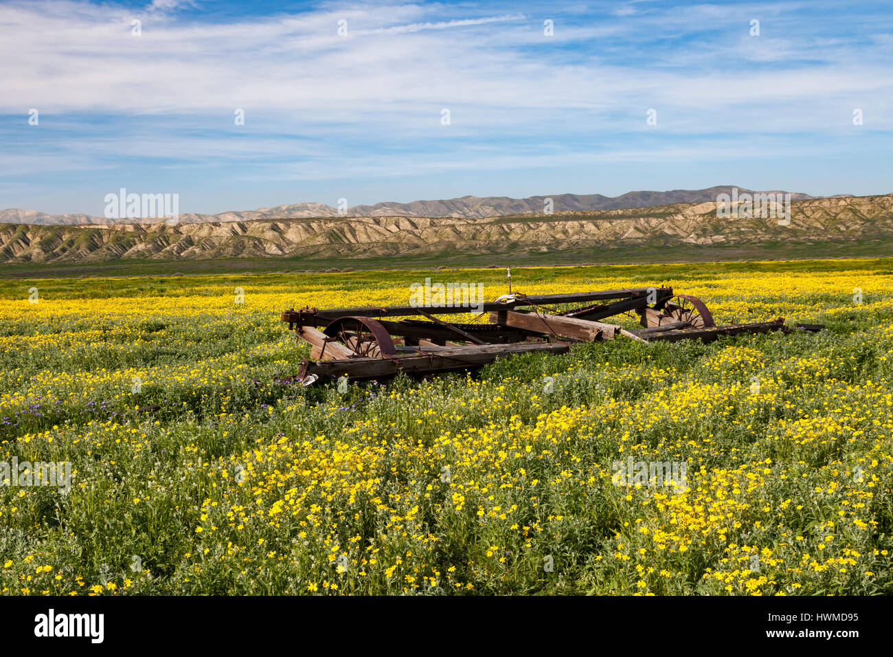 Wildblumen blühen neben verlassenen Landmaschinen der Van Matre Ranch am Carrizo Plain National Monument. Stockfoto