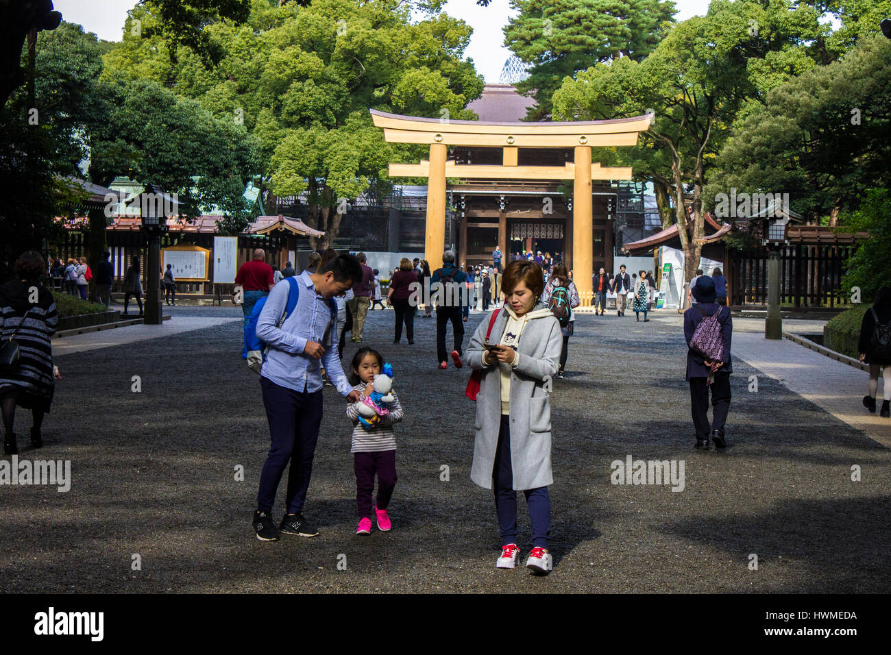 Meiji, Jingu, Schrein, Shinto, Tokio, Japan, Herbst, Blätter, Momiji, rot, Momijigari, Herbst, Farben, Laub, Blatt, peeping, Koyo, Kanpukai, Ahorn, Asien Stockfoto
