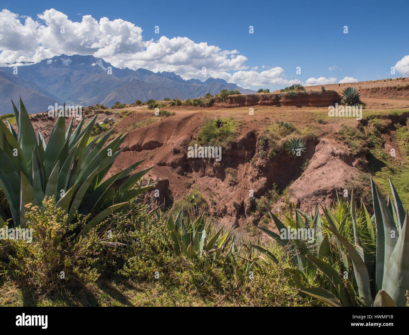 Anden in der Nähe von Moray Ruinen, in das Heilige Tal der Inka, Peru Stockfoto