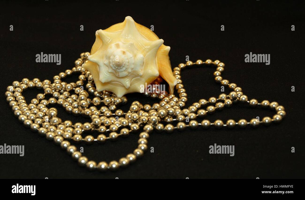 Muschel mit Perlen Stockfoto