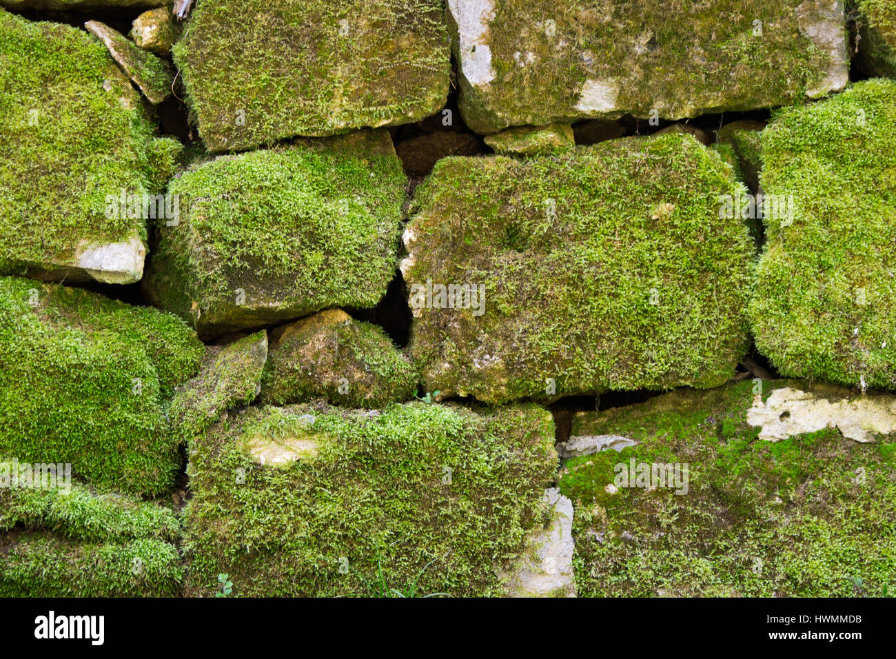 Stein Moos Wand Hintergrund Stockfoto