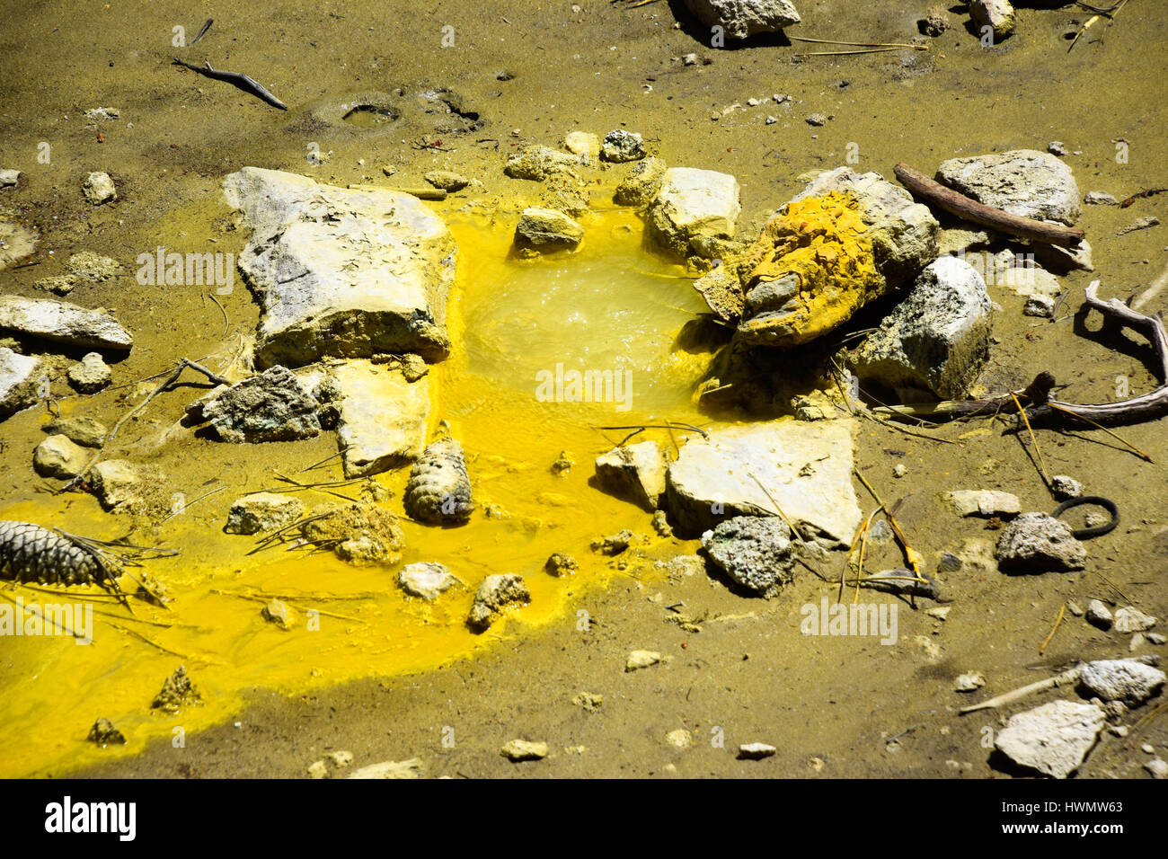 Neuseeland, Rotorua – Schwefelseen und Thermalquellen Stockfoto