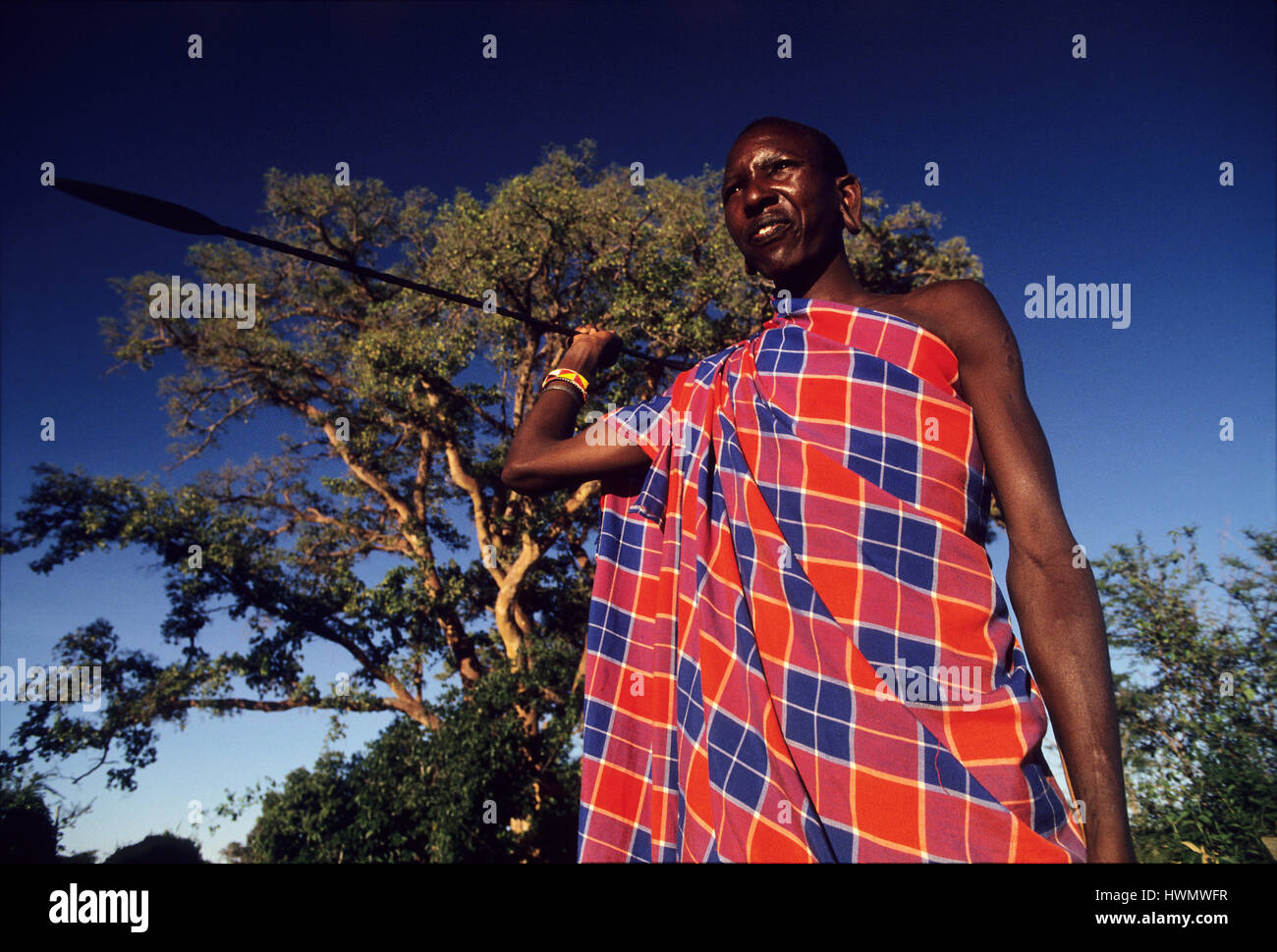 Massai sind vielleicht die berühmtesten aller afrikanischen Stämme leben in den großen offenen Ebenen des südwestlichen Kenia und Nordwesten Tansania. Stockfoto