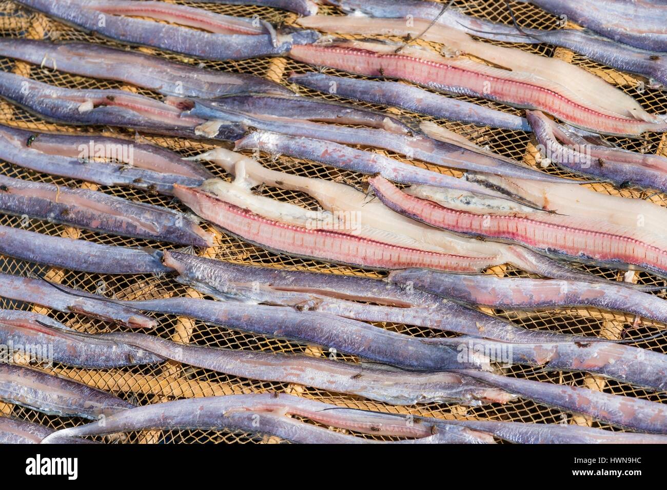 Myanmar (Burma), Rakhine-Staat (oder Staat, Arakan), Thandwe District, Ngapali Beach, Trocknen der Fische in Gyeiktaw (oder Jake Taw) Dorf Stockfoto