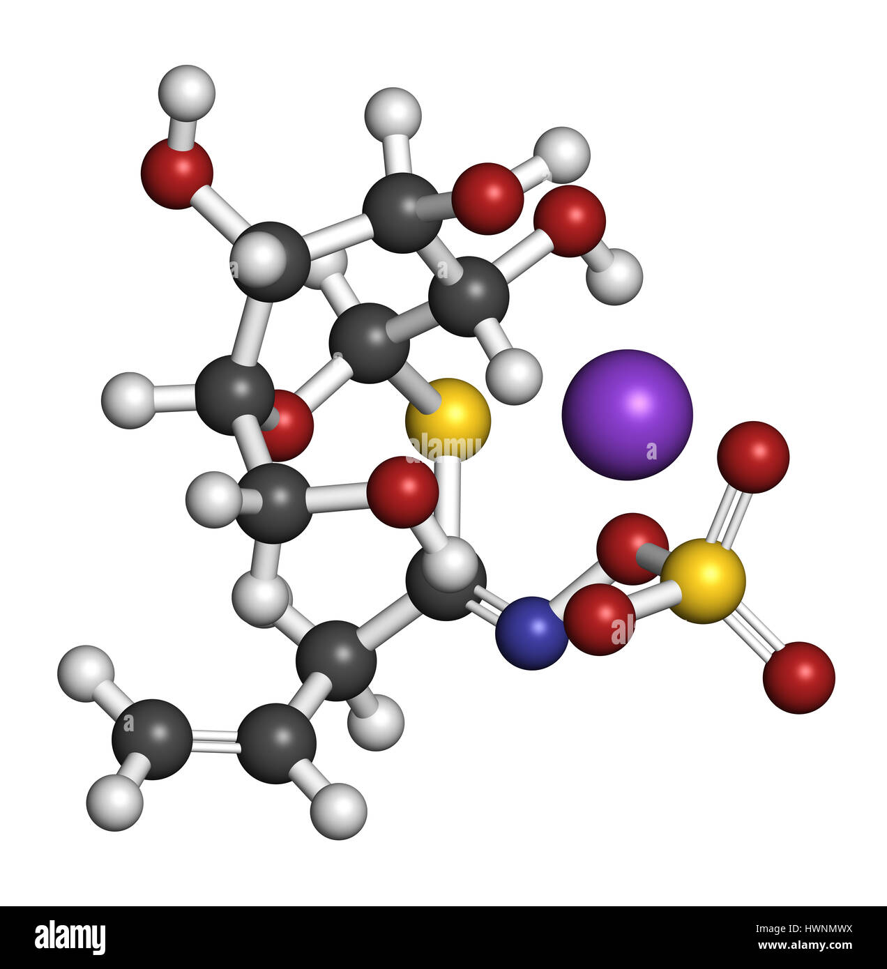 Sinigrin Glucosinolat Molekül. Präsentieren Sie in einige Kreuzblütler Gemüse (Rosenkohl, Brokkoli, schwarzer Senf, usw.). 3D-Rendering. Atome sind Kongress Stockfoto
