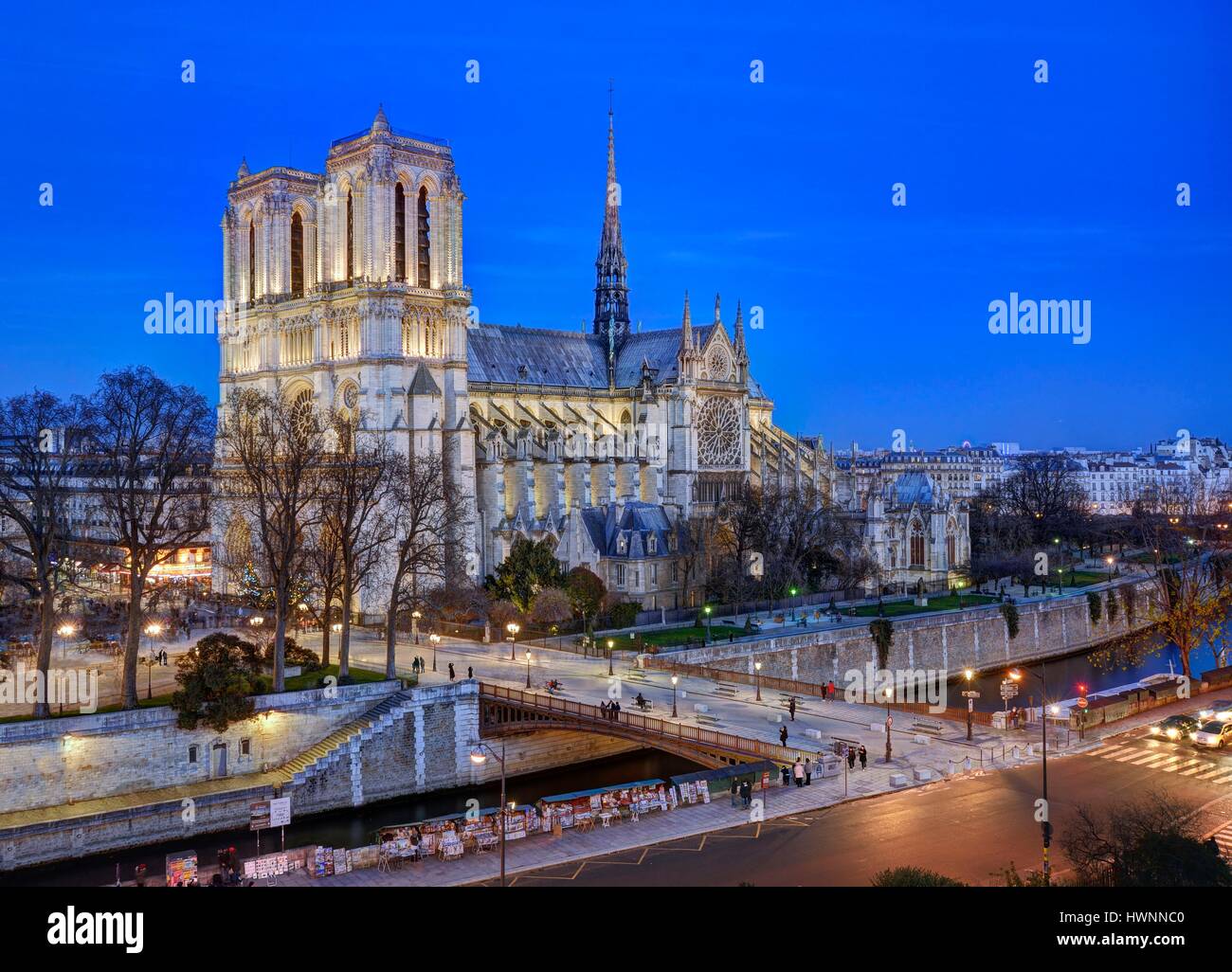 Frankreich, Paris, die Ufer der Seine als Weltkulturerbe von der UNESCO, Île de la Cité (Insel der Stadt) mit der Kathedrale Notre-Dame und der Pont au Double (Brücke) Stockfoto