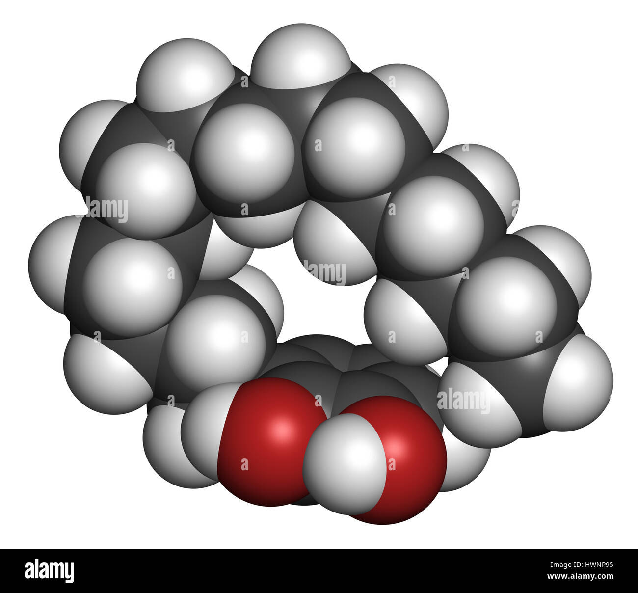 Urushiol Giftefeu Allergen Molekül. Auch in Gifteiche, Lackbaum und Poison Sumac präsent. Urushiol ist eine Mischung aus eng verwandten Komponenten, Stockfoto