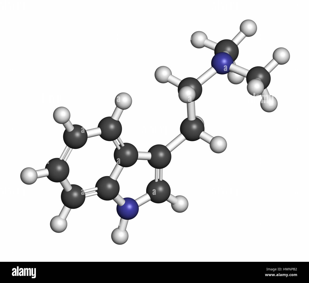 Dimethyltryptamin (DMT) psychedelische Droge Molekül. Das Getränk Ayahuasca zu präsentieren. 3D-Rendering. Atome werden als Kugeln mit konventionellen c dargestellt. Stockfoto