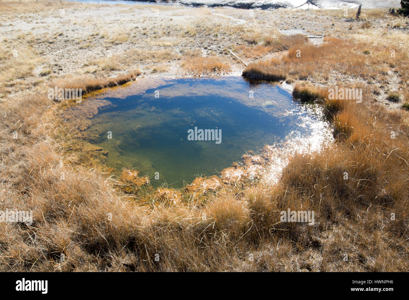 Der Liberty-Pool in Upper Geyser Basin im Yellowstone National Park 12. Oktober 2015 in Yellowstone in Wyoming. Stockfoto