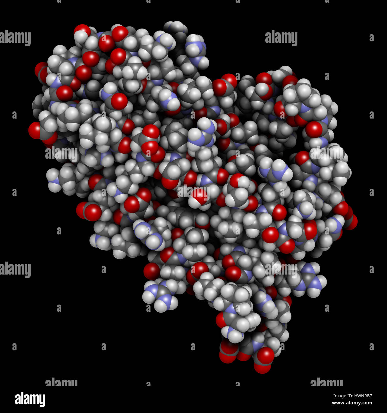 Erythropoetin (menschliche EPO, Epoetin) Protein Hormon, 3D rendering. Stimuliert die Produktion von roten Blutkörperchen. Als Medikament und im Sport doping verwendet. Atome Stockfoto