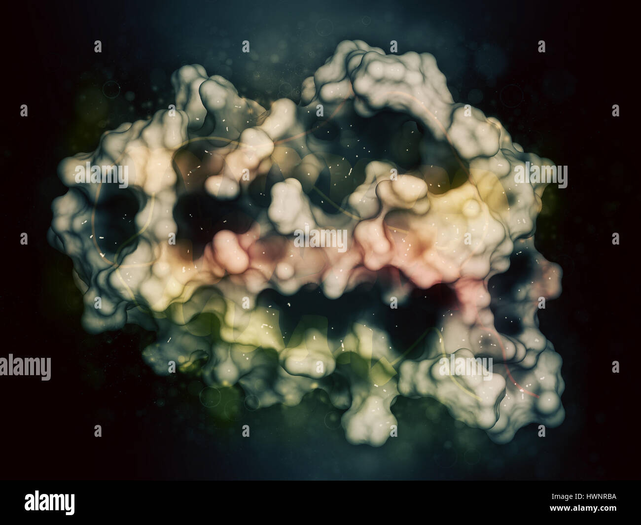 Erythropoetin (menschliche EPO, Epoetin) Protein Hormon, 3D rendering. Stimuliert die Produktion von roten Blutkörperchen. Als Medikament und im Sport doping verwendet. Cartoo Stockfoto