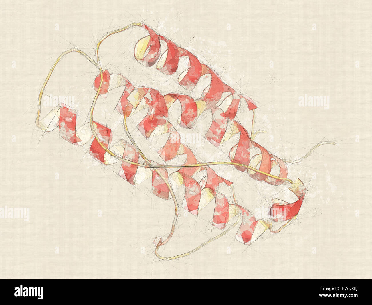 Erythropoetin (menschliche EPO, Epoetin) Protein Hormon, 3D rendering. Stimuliert die Produktion von roten Blutkörperchen. Als Medikament und im Sport doping verwendet. Cartoo Stockfoto