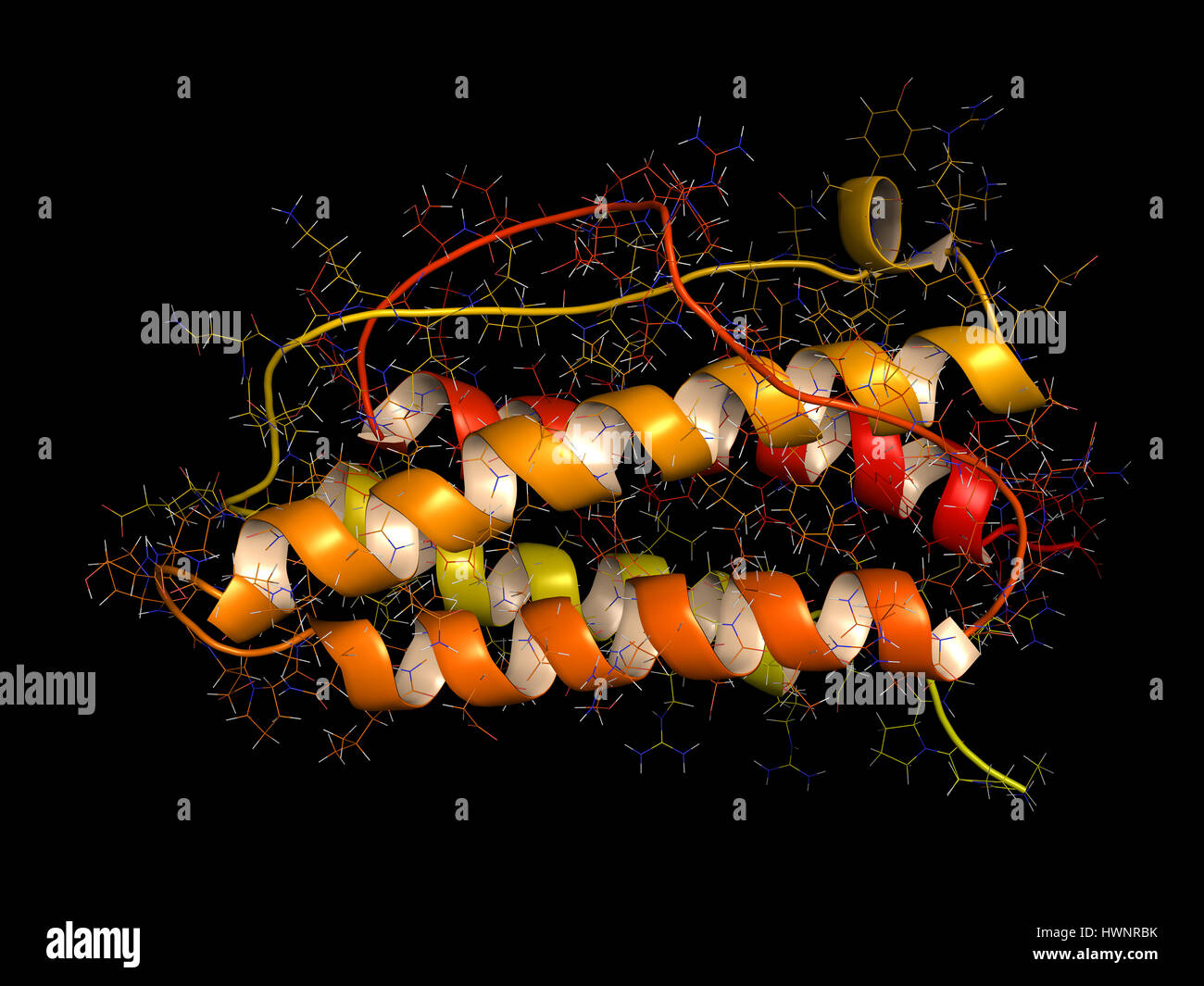 Erythropoetin (menschliche EPO, Epoetin) Protein Hormon, 3D rendering. Stimuliert die Produktion von roten Blutkörperchen. Als Medikament und im Sport doping verwendet. Cartoo Stockfoto