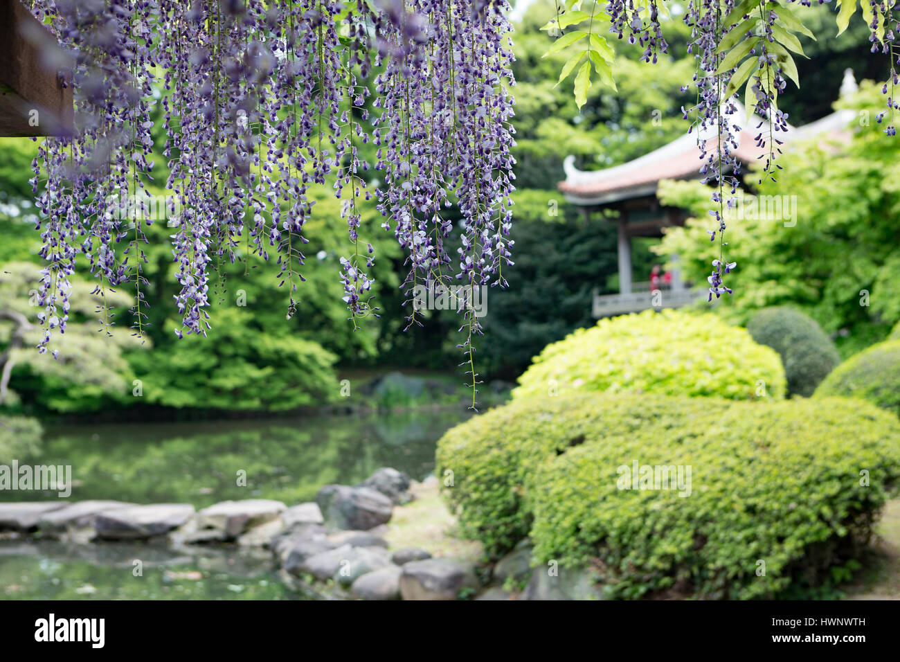 japanischer Garten Stockfoto
