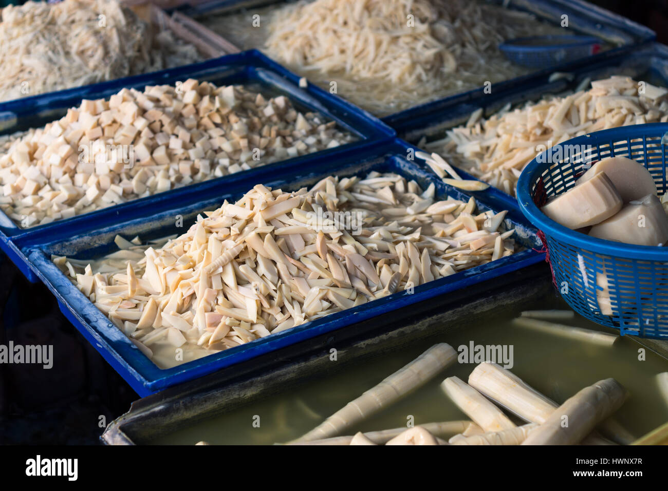 Vielzahl von frisch geschnitten roh Bambus zum Verkauf auf dem lokalen Markt in Thailand. Stockfoto