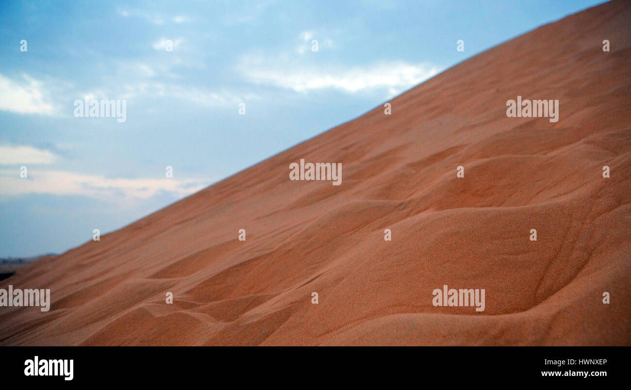 Wüstensafari Stockfoto