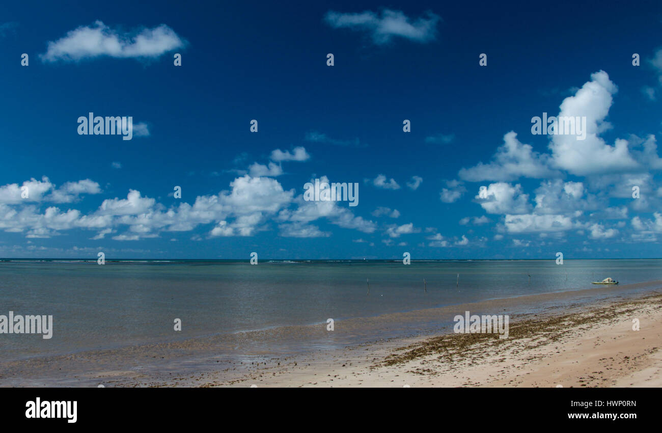 Strandurlaub: Patacho Beach, Alagoas, Brasilien, als einer der schönsten Strände in Brasilien-Sand, Meer und Himmel. Stockfoto