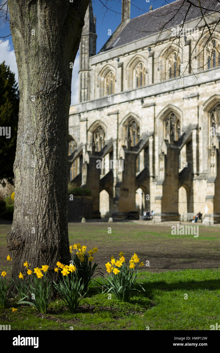 Winchester Cathedral in Frühling, Hampshire, England, Vereinigtes Königreich Stockfoto
