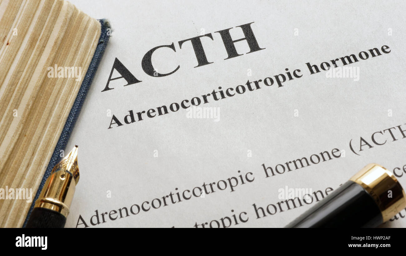Dokument mit dem Titel adrenokortikotropes Hormon (ACTH). Stockfoto