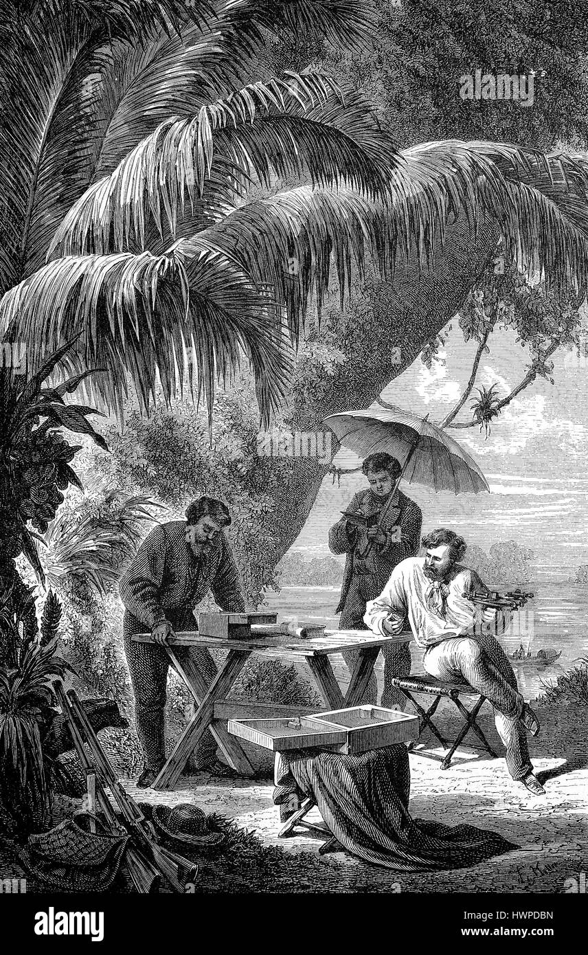 Vorbereitung für astronomische Beobachtungen in Brasilien, Reproduktion einer original Holzschnitt aus dem Jahr 1882, digital verbessert Stockfoto