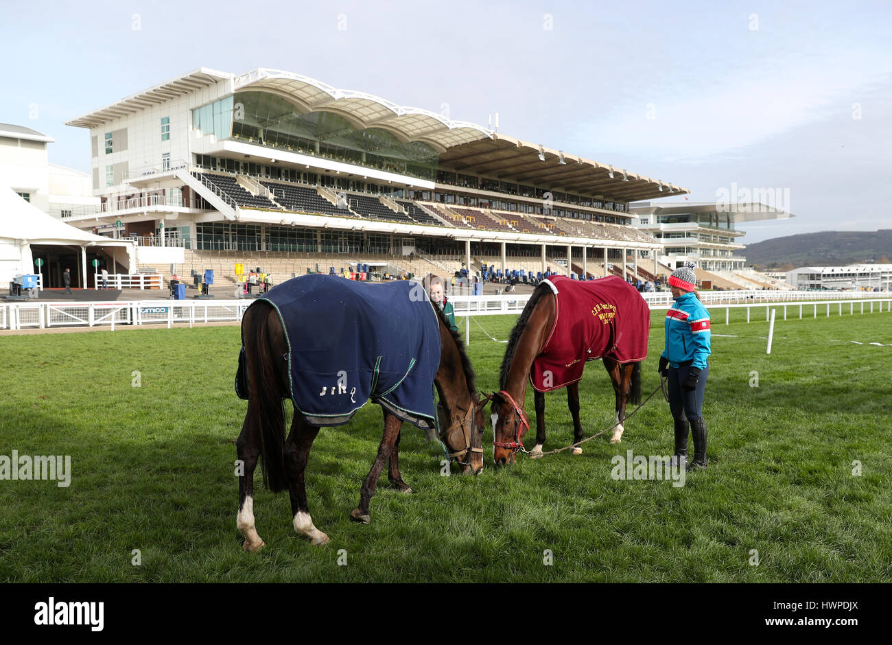 Große Geste und Ay, Charley Fuß auf dem Golfplatz tagsüber Gold Cup der 2017 Cheltenham Festival in Cheltenham Racecourse. Stockfoto