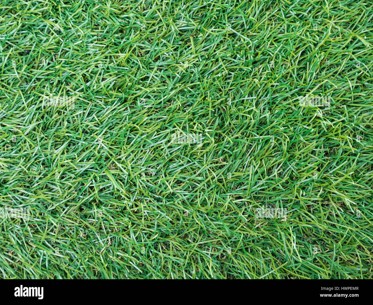Hintergrundtextur mit gefälschten Rasen Draufsicht. Stockfoto