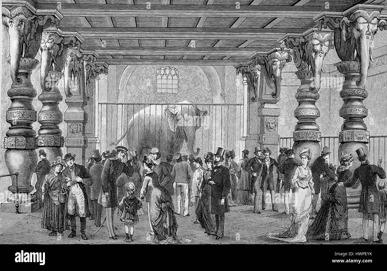 Das Elefantenhaus in Berlin Zoologischer Garten, Berlin, Deutschland, Reproduktion einer original Holzschnitt aus dem Jahr 1882, digital verbessert Stockfoto